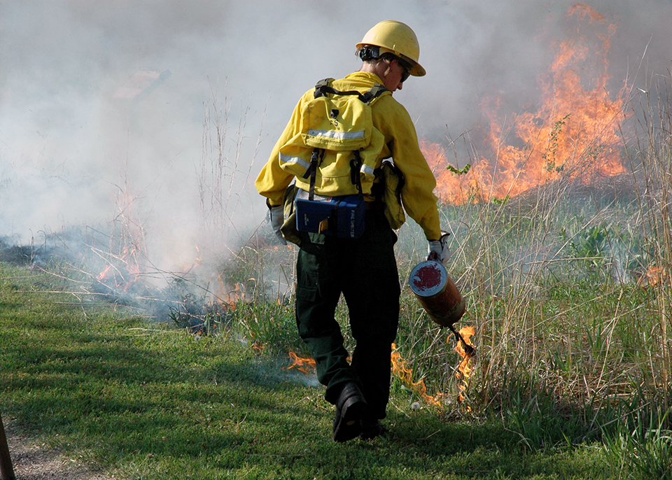 Firefighter uses a drip torch to light portions of the tallgrass prairie.