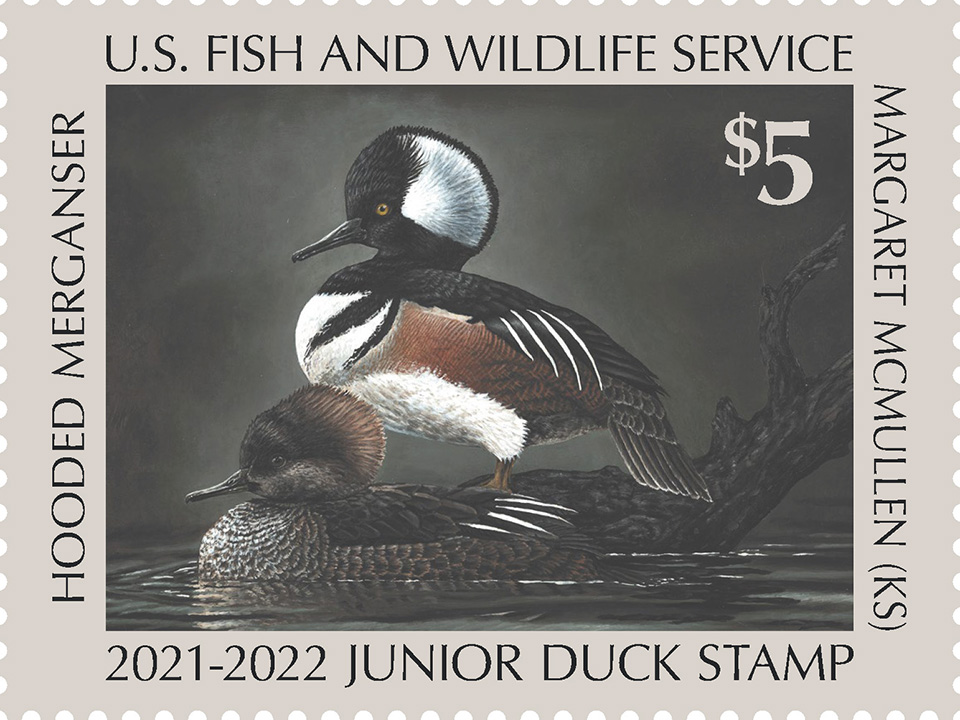 Jr Duck Stamp Art Contest 2022 Fort Scott National Historic Site Us
