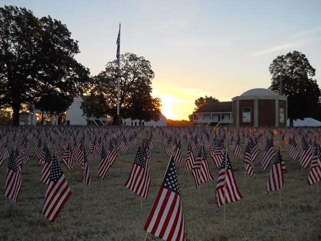 Flags at sunrise.