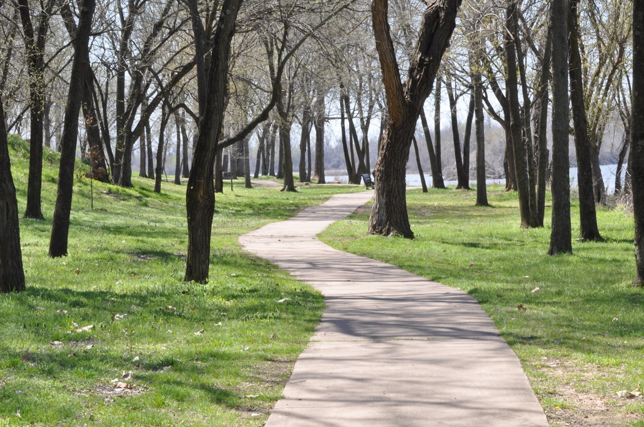 A sidewalk winds between trees on the green grass covered shore on a sunny spring morning.