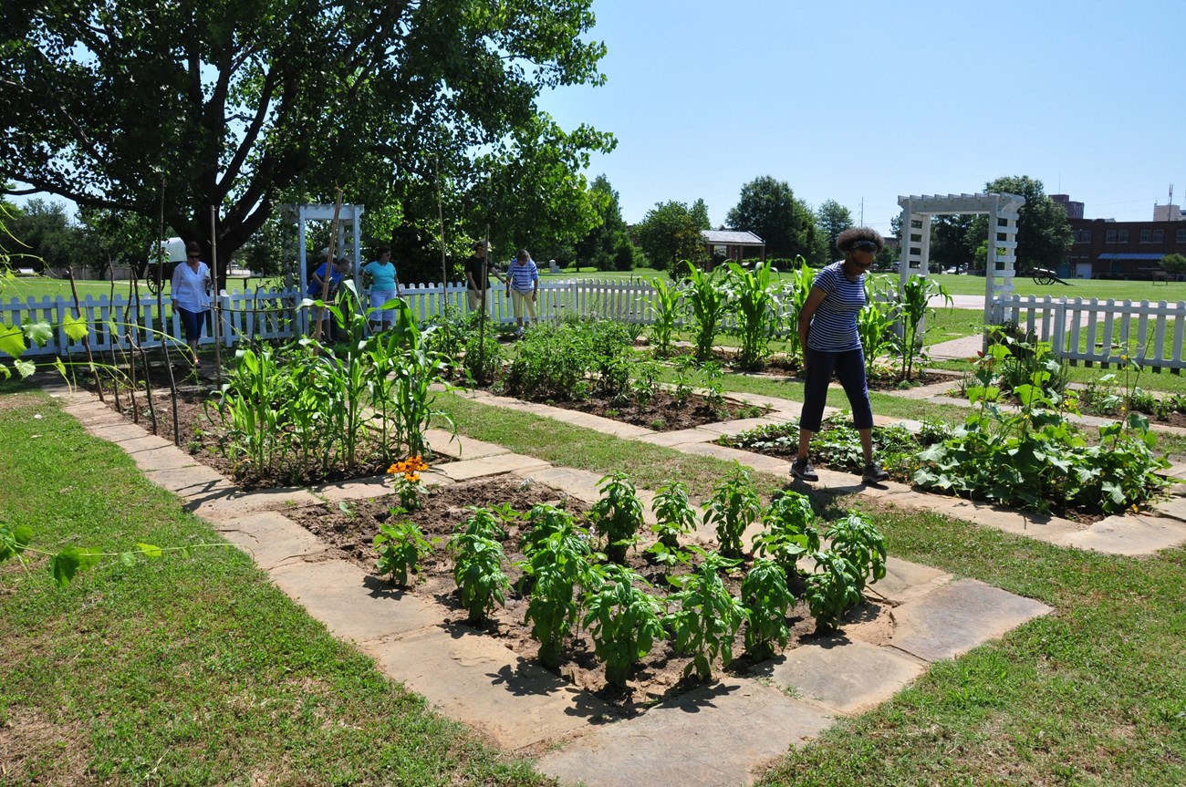 Several people walk in between ground level beds with vegetables and flowers surrounded by a white picket fence.