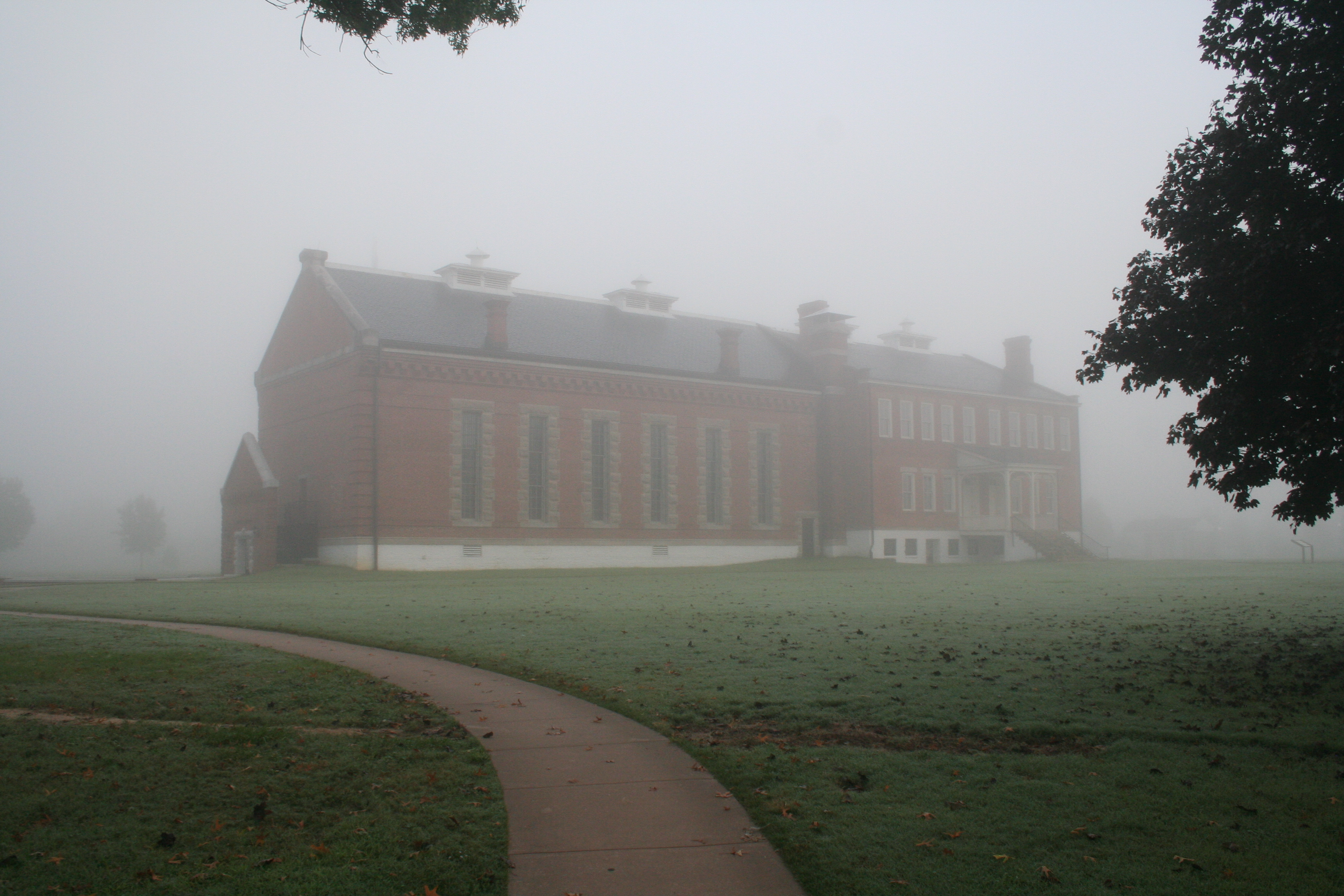 Heavy-mist fog clings to the ground.