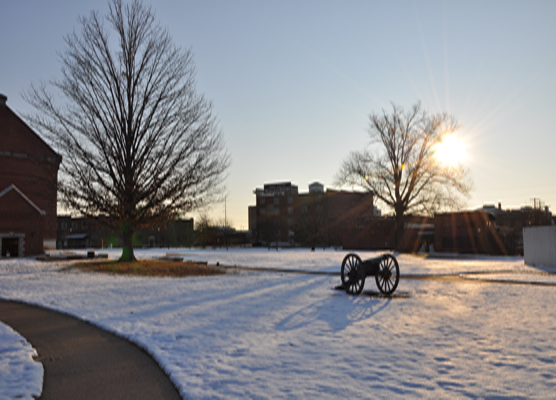 Snowy Cannon Snowy Cannon