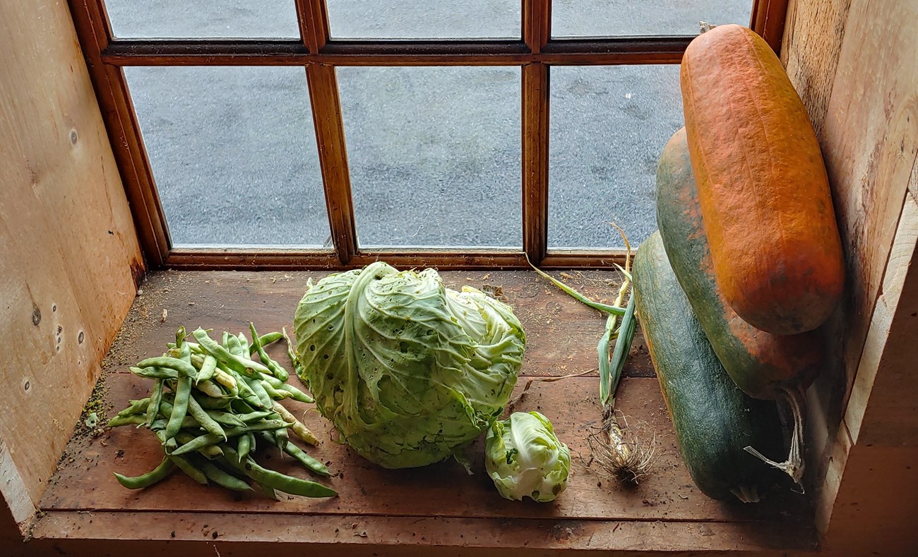 A wood framed window. Long pumpkin squash, string beans, and a cabbage sit in a tidy row on the sill.