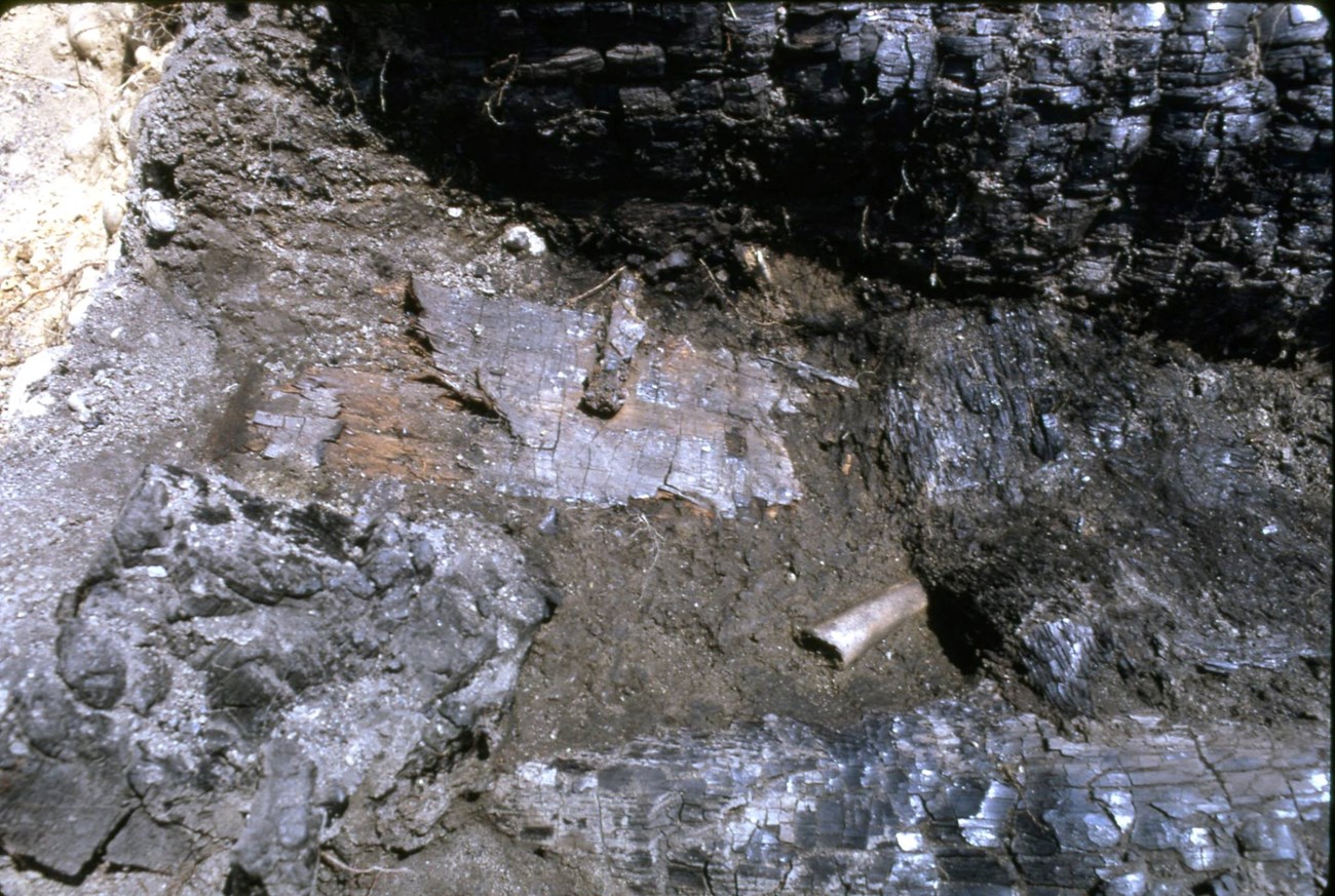 A blackened hole with charcoal formed inside. A bone sits in the middle.