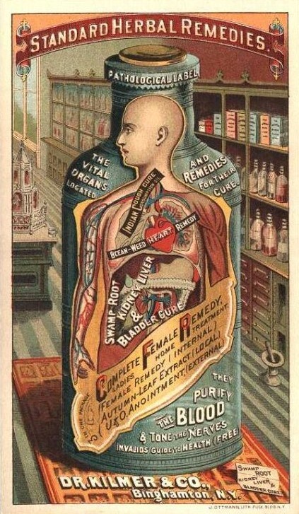 A very large bottle stands on a table in a medicinal shop. The bottle depicts a front view of internal anatomy of a person to highlight the medicinal benefits of Dr. Kilmer's swamp root for the kidney, liver, bladder, and throat.