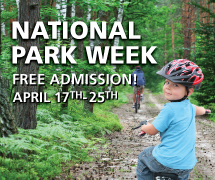 a child rides a bike down a wooded path