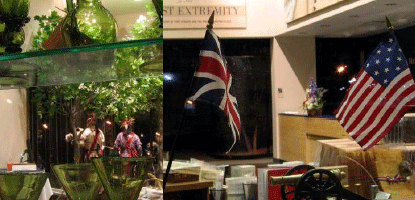 green glass, stripes and strips of flags, a little brass cannon, shiny wooded shelving.
