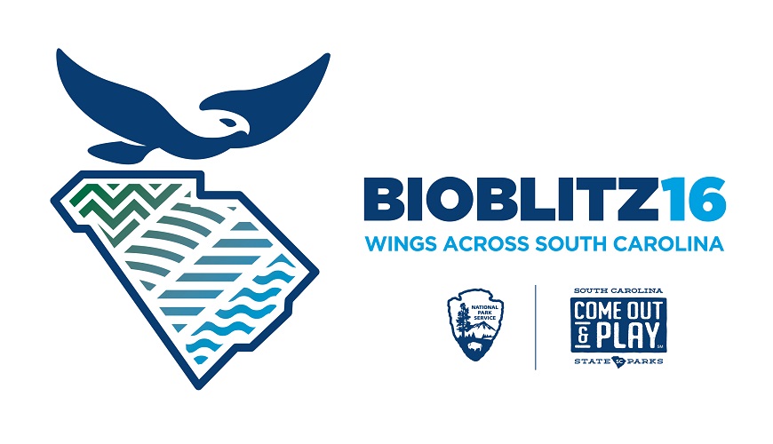 bioblitz logo