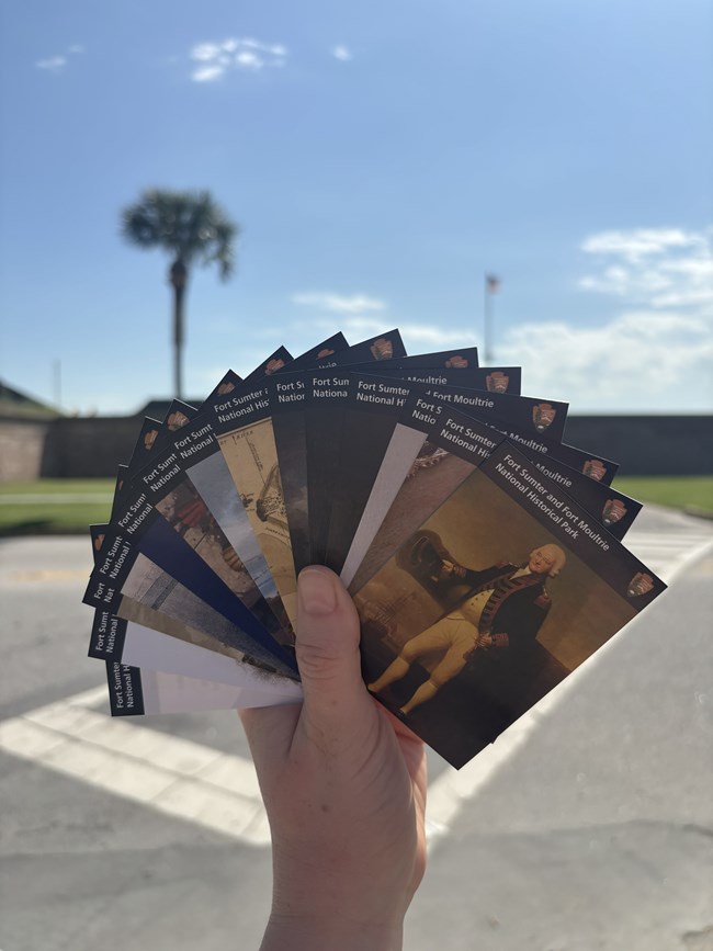 A hand holds a set of trading cards in front of a blue sky, a brick fort and a palm tree