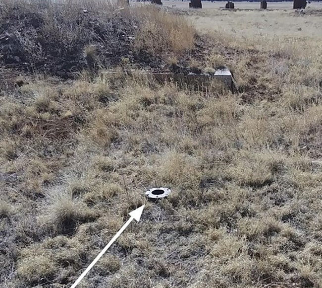 Circular, donut-shaped metal object, perforated by holes around the edge, lying flat on the ground surrounded by grass.