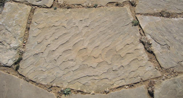 A piece of brown stone sidewalk showing ripple marks on its surface.