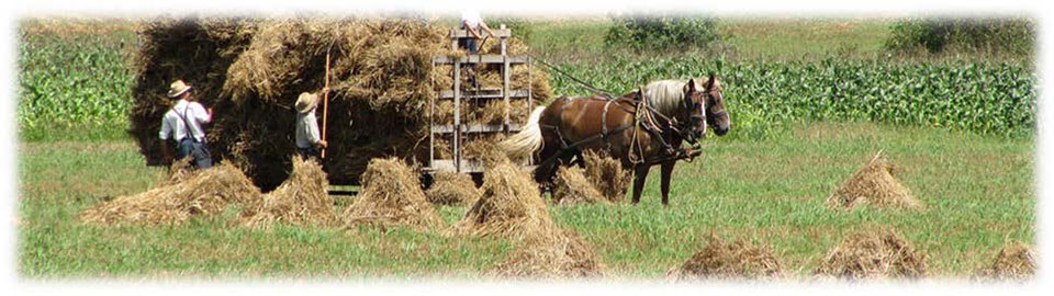 may glimpses photo workers laboring in farm field