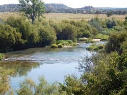 rio mora river flowing through meadow