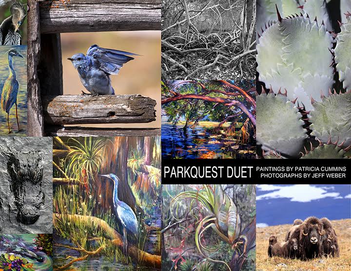 A collage of outdoor, painted images, including a great blue heron, a southern hardwood swamp and a bromeliad.