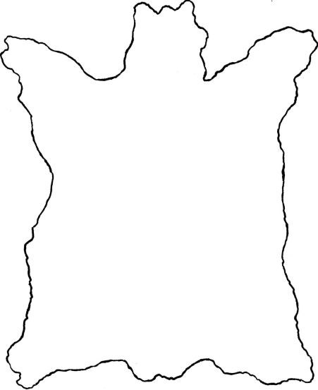 Outline of Buffalo Robe
