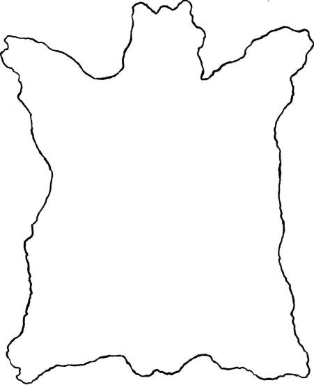 Winter Count Buffalo Robe print extra small Outline of Buffalo Robe