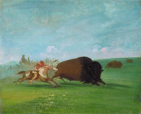 George Catlin’s “Buffalo Chase”.