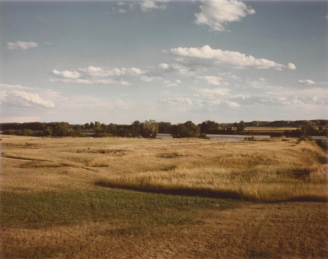 A green and tan grassy field with a river running in the background with a few green trees along the river.