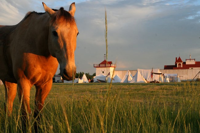 A horse in a green grassy field with a large camp of canvas tipis behind it and a white walled structure in the background.