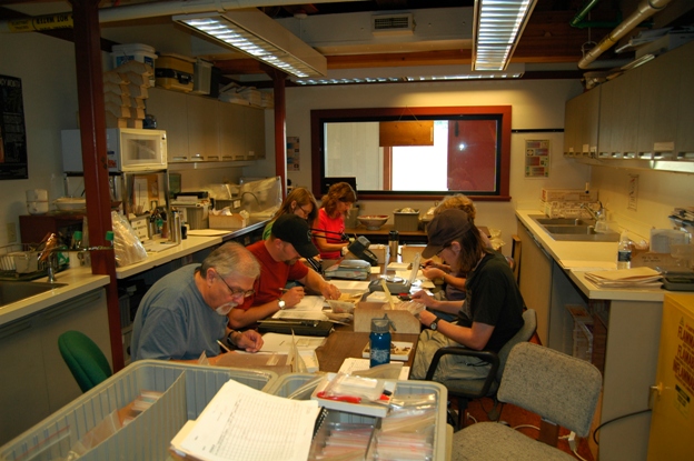 Volunteers at work