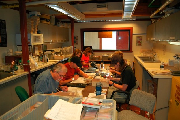 Volunteers at work