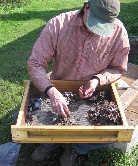 NCRI Archaeologist Eric Gleason screens for artifacts at Ebey's Landing National Historic Reserve