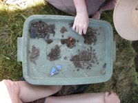 Representative artifacts from first two weeks of field school