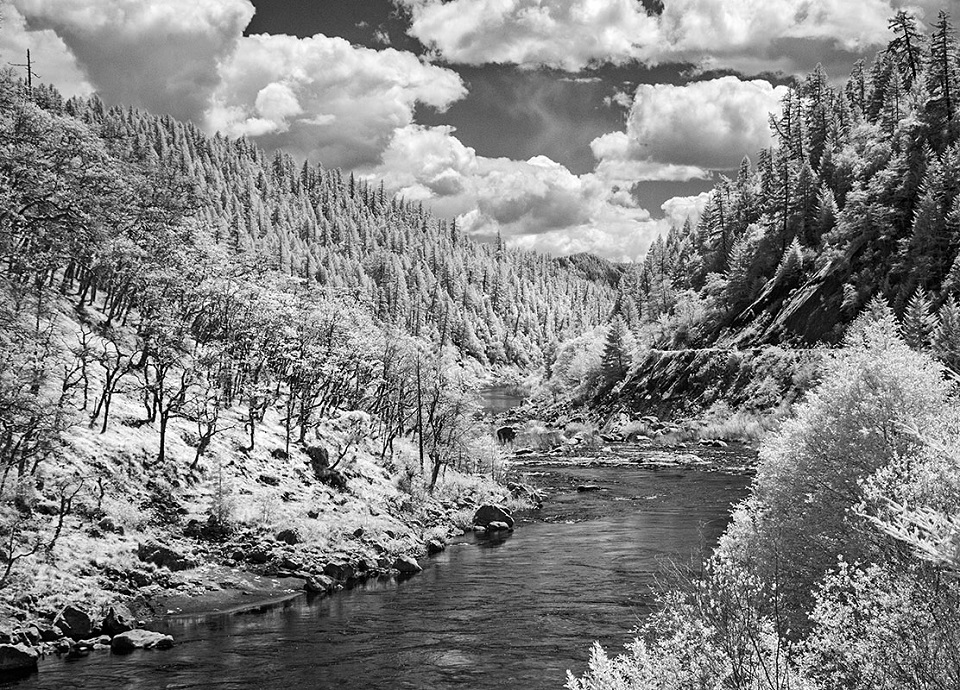 A black and white photo of a landscape with trees on the banks of a river.