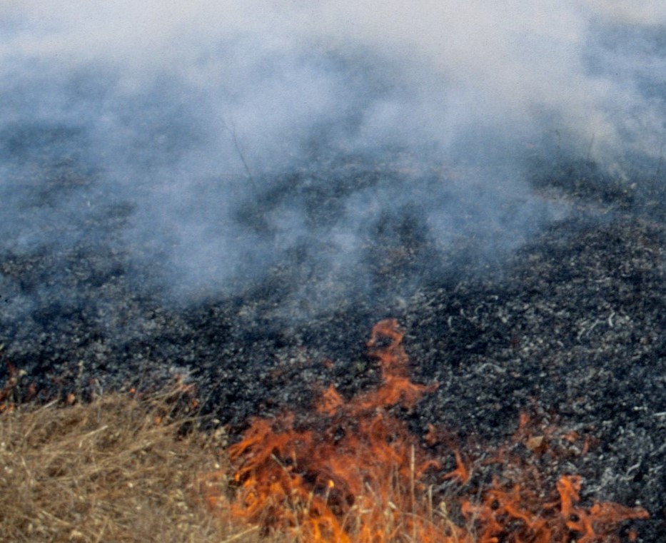 Wildland fire image grasslands on fire