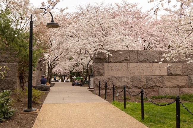 A stone wall reads, "Franklin Delano Roosevelt President of the United States 1933-1945". Cherry blossoms fall over the stone wall. A paved pathway is positioned to the left of the stone wall.