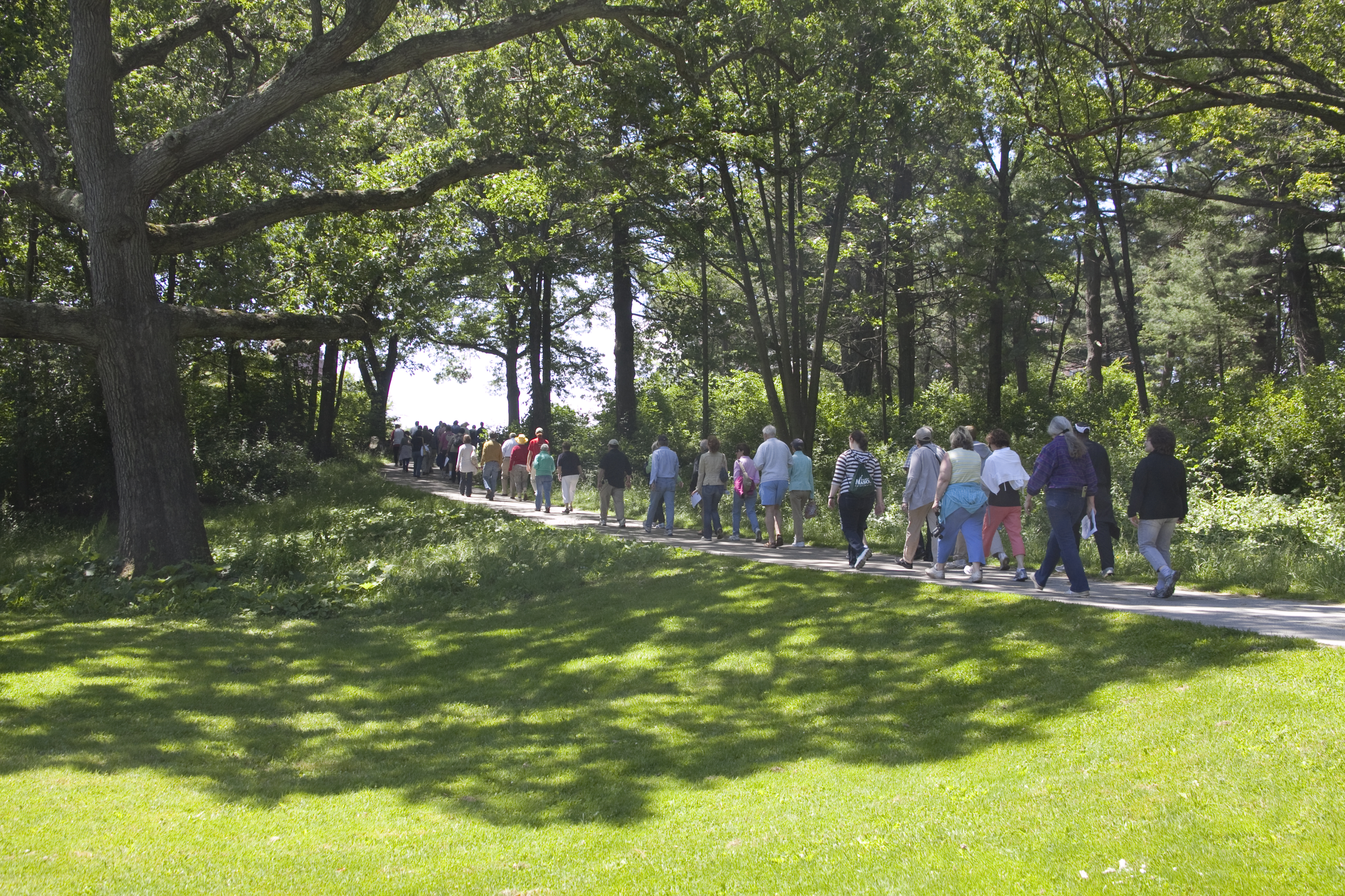 People walking along path in park People walking along path in park