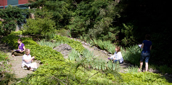Participants in a 2009 Teacher Institute draw plants from observation in the Hollow Landscape. Participants in a 2009 Teacher Institute draw plants from observation in the Hollow Landscape.