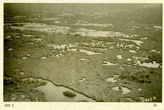 Black and white aerial photograph of large swampy areas, where there is some land forms but they look very gentle surrounded entirely by water.