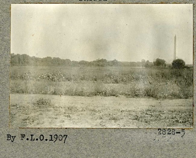 Black and white photograph of flat, open grassy area with few trees in the distance. At one end of the image is a large white tower, like an obelisk or long sharp tooth.