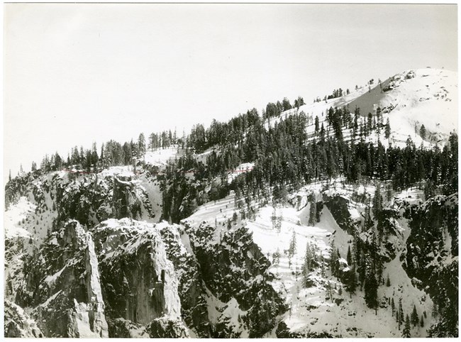 Black and white photograph of rocky mountain peak with tall, lush trees. The mountain is also covered in snow.