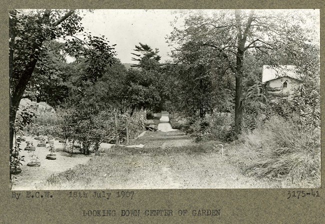 Black and white of grass and dirt road going down hill with dense plantings of trees and shrubs on both side, with small building on right side hidden by foliage.