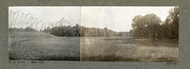 Black and white image of grass field with trees on the perimeter and pencil tree line drawn on edge