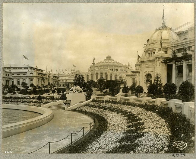 rows of flowers in front of large white buildings