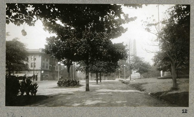 Path along road, with trees along one side and grassy area on the other