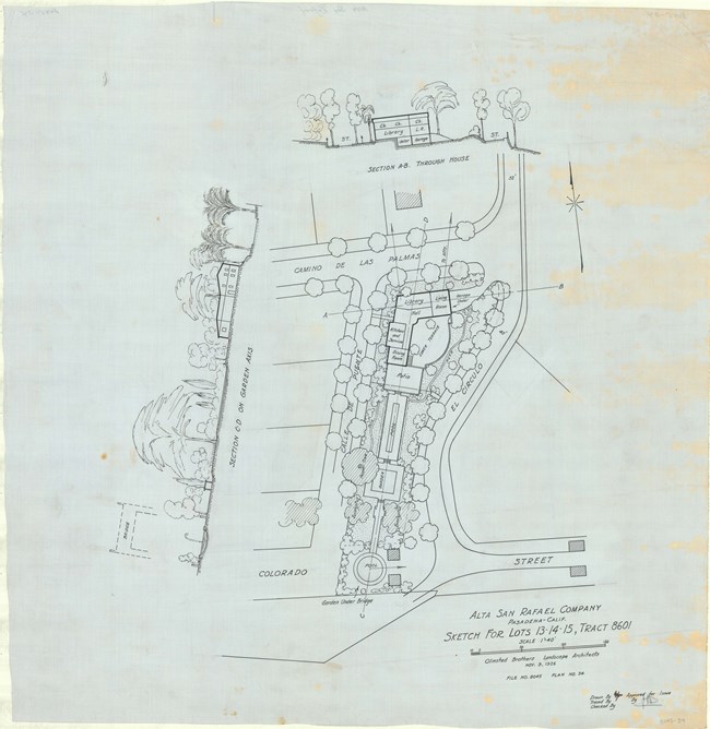 Pencil drawing of community with tree lined roads showing the size of trees next to buildings