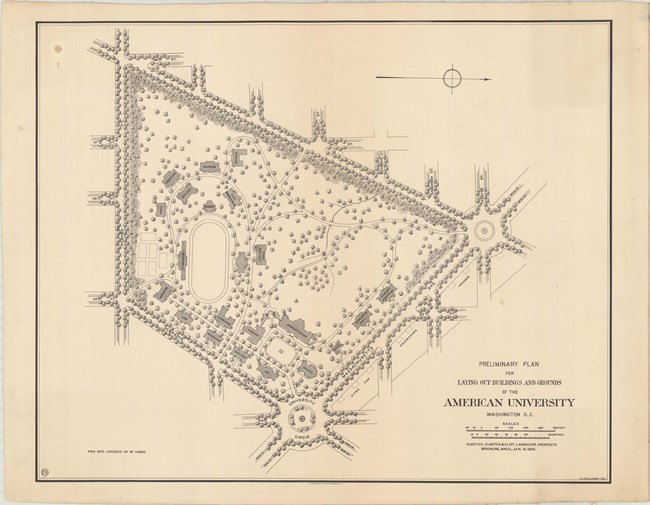 Pencil drawing of triangular plan with college enclosed by roads lined with trees. There are curving roads throughout, with buildings and trees spread out.