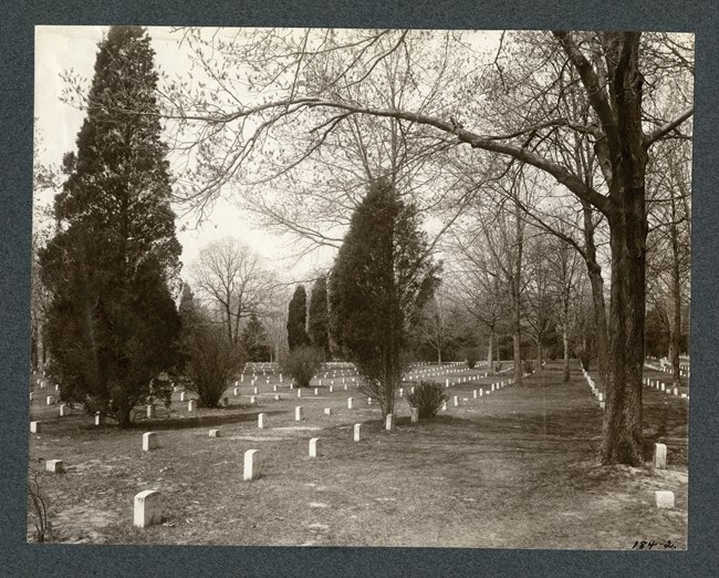 Black and white photograph of flat lawn with lines and rows of white gravestones. There are some trees scattered, but many fall in one of the lines or rows.