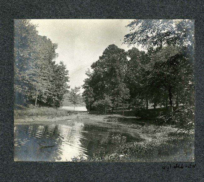 Black and white of body of water with trees and grassy area surrounding