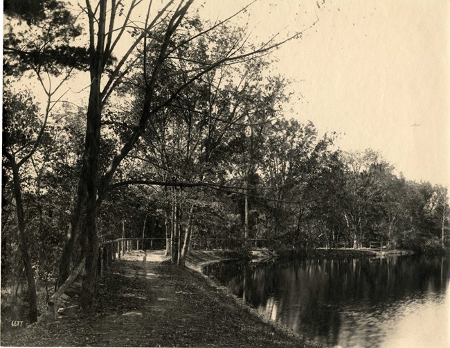 Black and white of dirt path lined with trees and a wooden handrail going around a body of water.