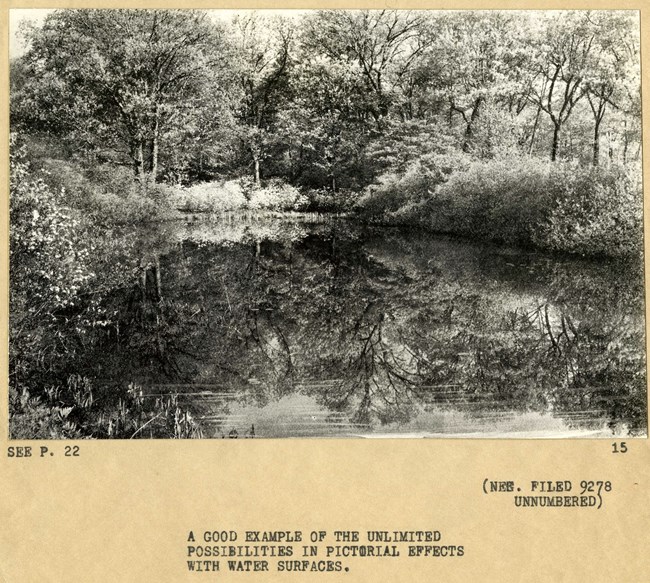 Black and white photograph of trees and shrubs being reflected perfectly off the water in front of it.