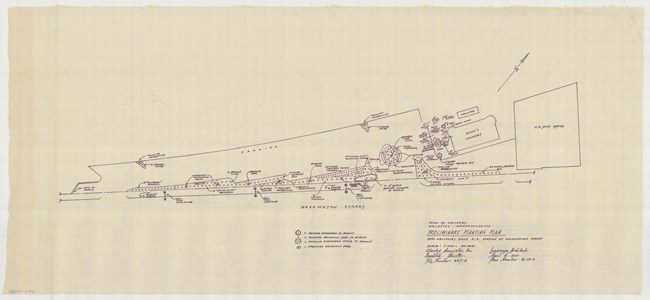 Pen drawing of preliminary planting plan, showing where each plant will be along a curving road