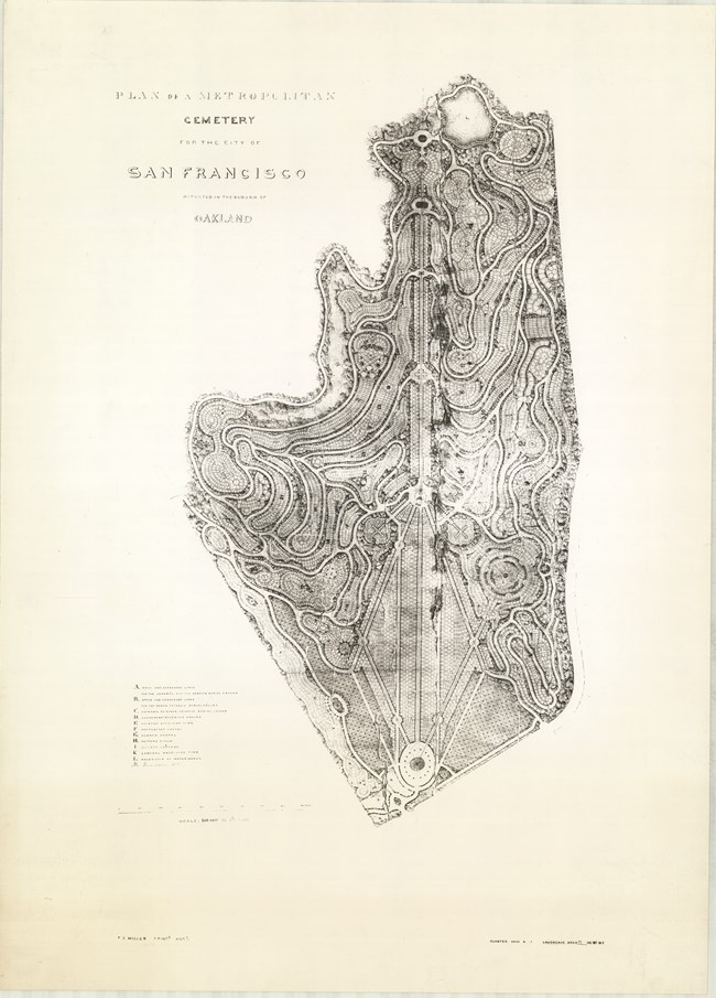 Sketch of plan for cemetery, where a large line goes through the middle of the plan with curved lines coming off it