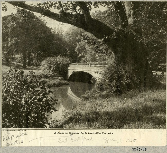 Black and white photograph of bridge over water with foliage on both sides. On one side, a large tree droops down over the water.