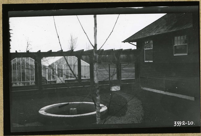 Black and white of small garden are next to building and pathway with greenhouse in the distance.